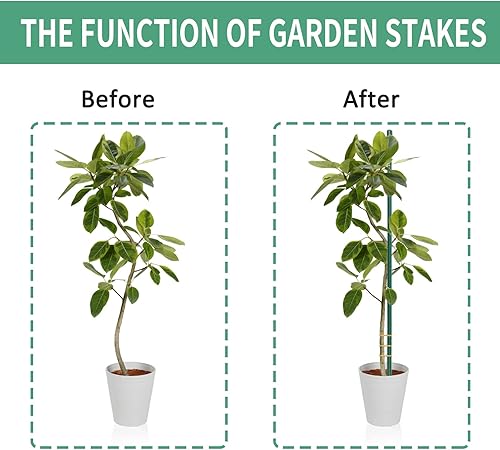 Miniatura 3 de Hmdivor Garden Stakes - Estacas para plantas de 48 pulgadas, estacas de tomate, paquete de 30