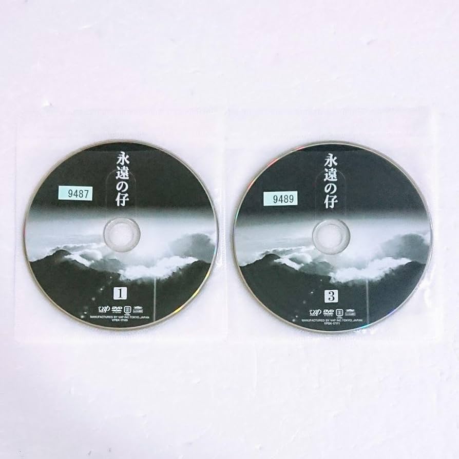 ◆永遠の仔 DVD BOX／渡部篤郎／中谷美紀／椎名桔平／石田ゆり子 永遠の仔 DVD-BOX 中古DVD・ブルーレイ | ブックオフ公式