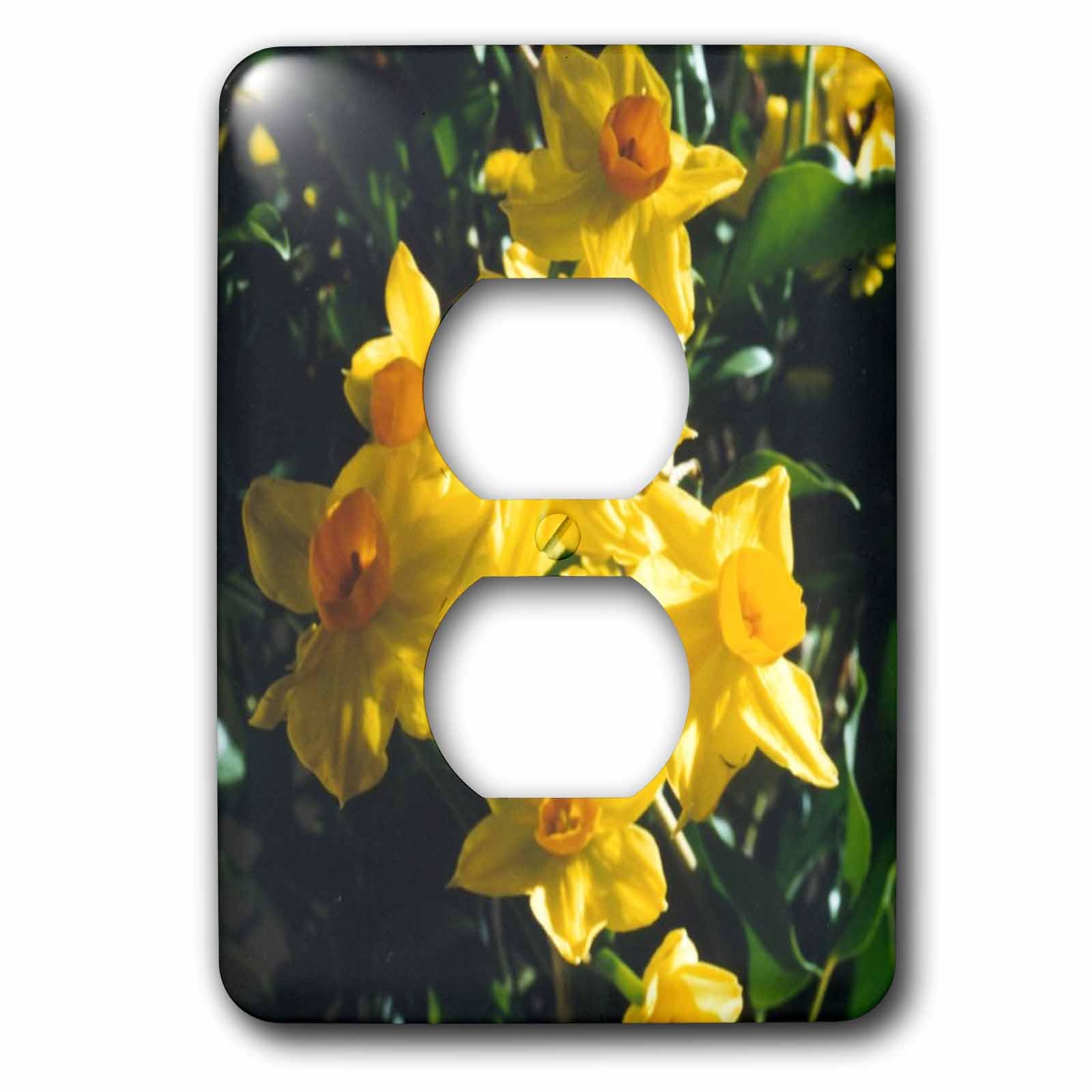 Jonquilles 2 prises lsp_3134_6 plaque double haute finition