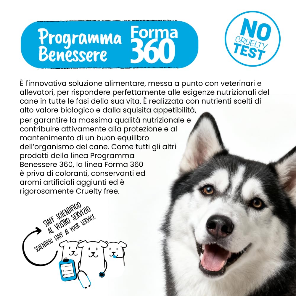 Pet360 Forma Adult Pesce e Riso 12 Kg – Crocchette per Cani Adulti Medium e Maxi – Alta Digeribilità con Omega 3, FOS e Glucosamina – Supporto Cute, Pelo e Articolazioni