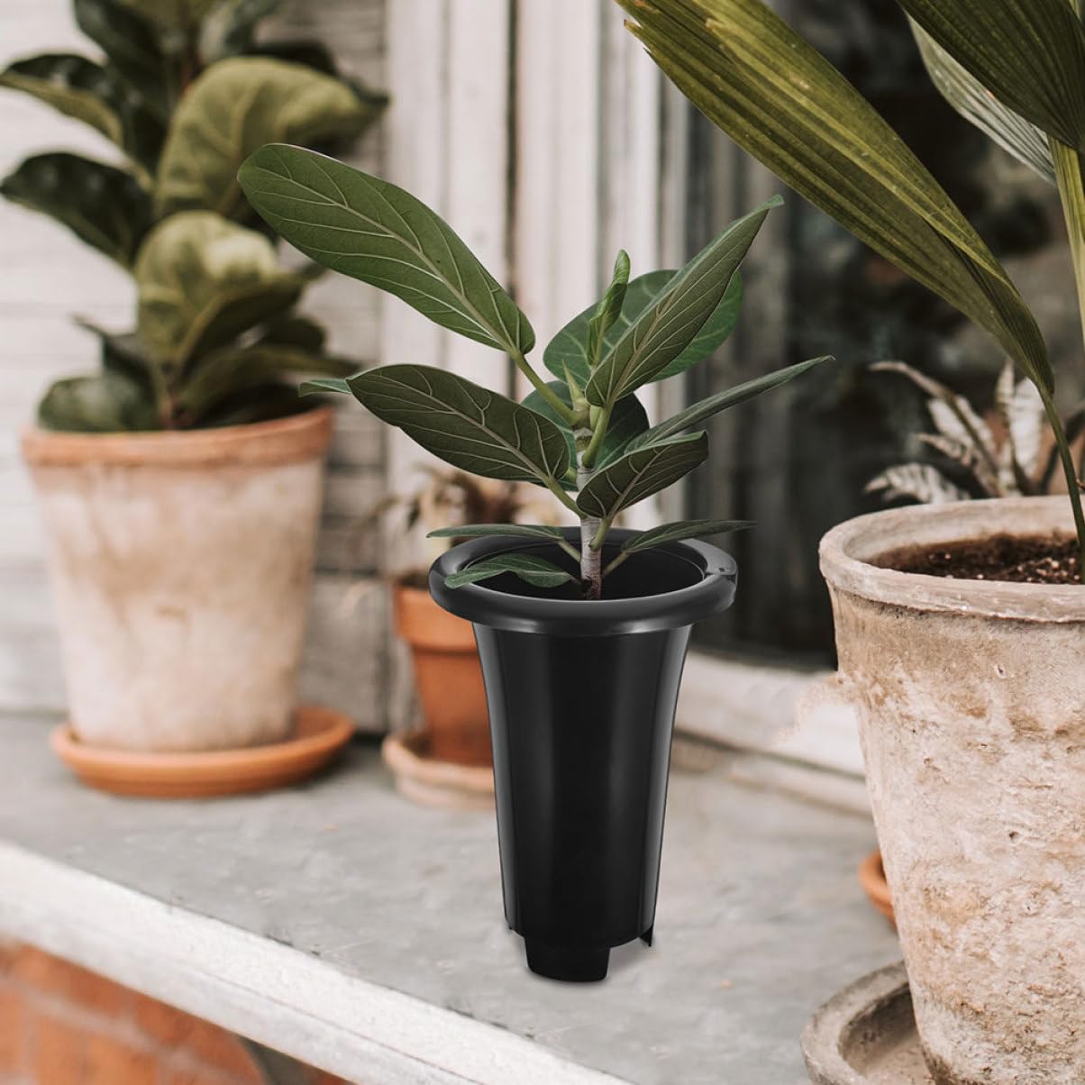 10 Pcs Pot en Plastique PP Épaissi avec Trous D'aération pour Plantes Succulentes et Orchidées à Utiliser en Intérieur et Jardin