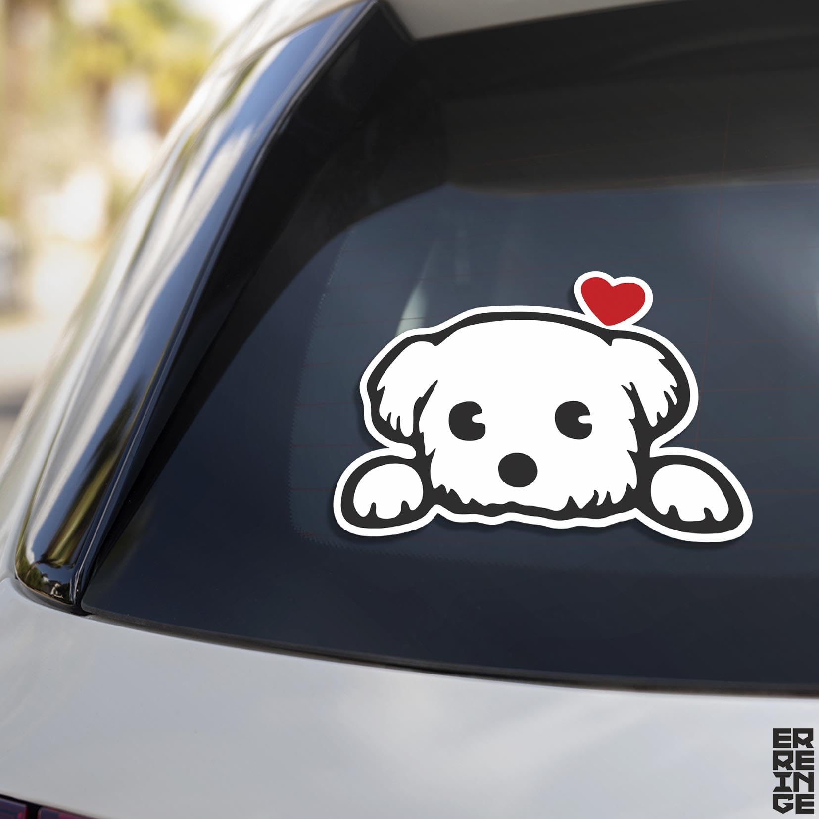 Adesivo 30 cm Cane Maltese - Sticker PVC
