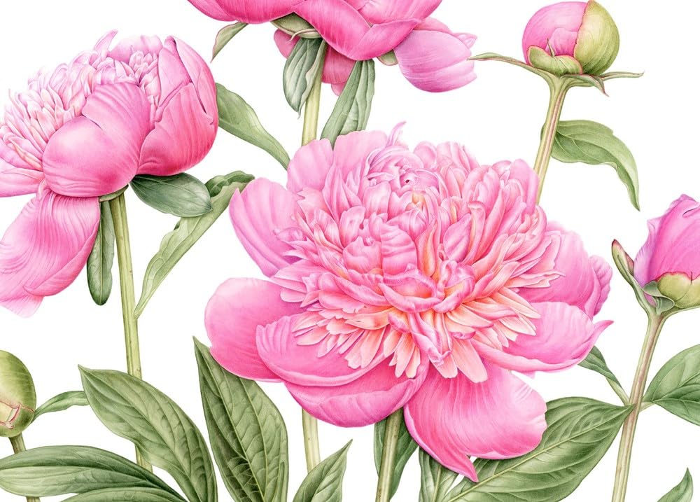 The Souls of Flowers: The Loveliest Flowers in Our Meadows and Gardens (Large Encyclopedias)