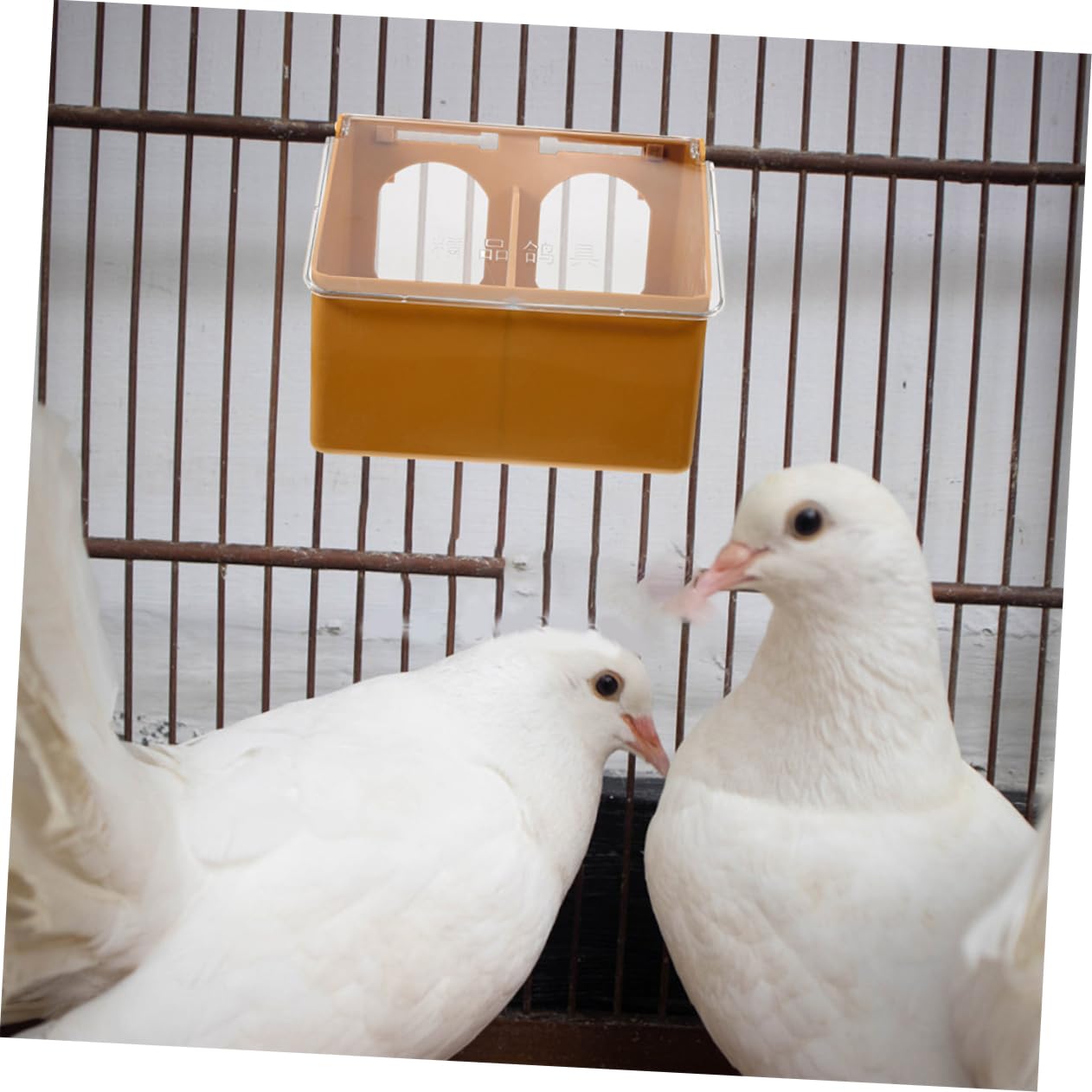 Comedero Colgante para Pájaros de Dos Orificios, 3 Piezas | Plástico Color Café, Ligero y Resistente al Desgaste, para Aves Pequeñas y Palomas