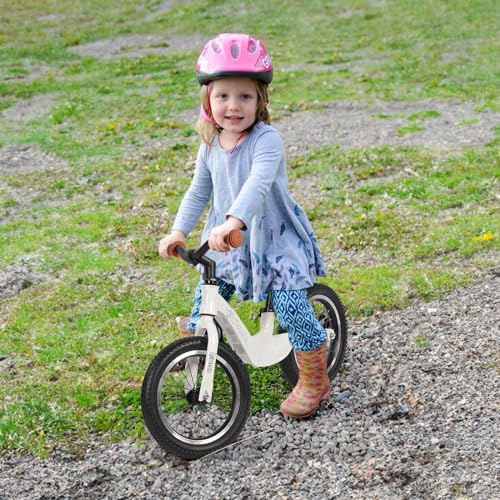 Birtech Magnesium Alloy Bike