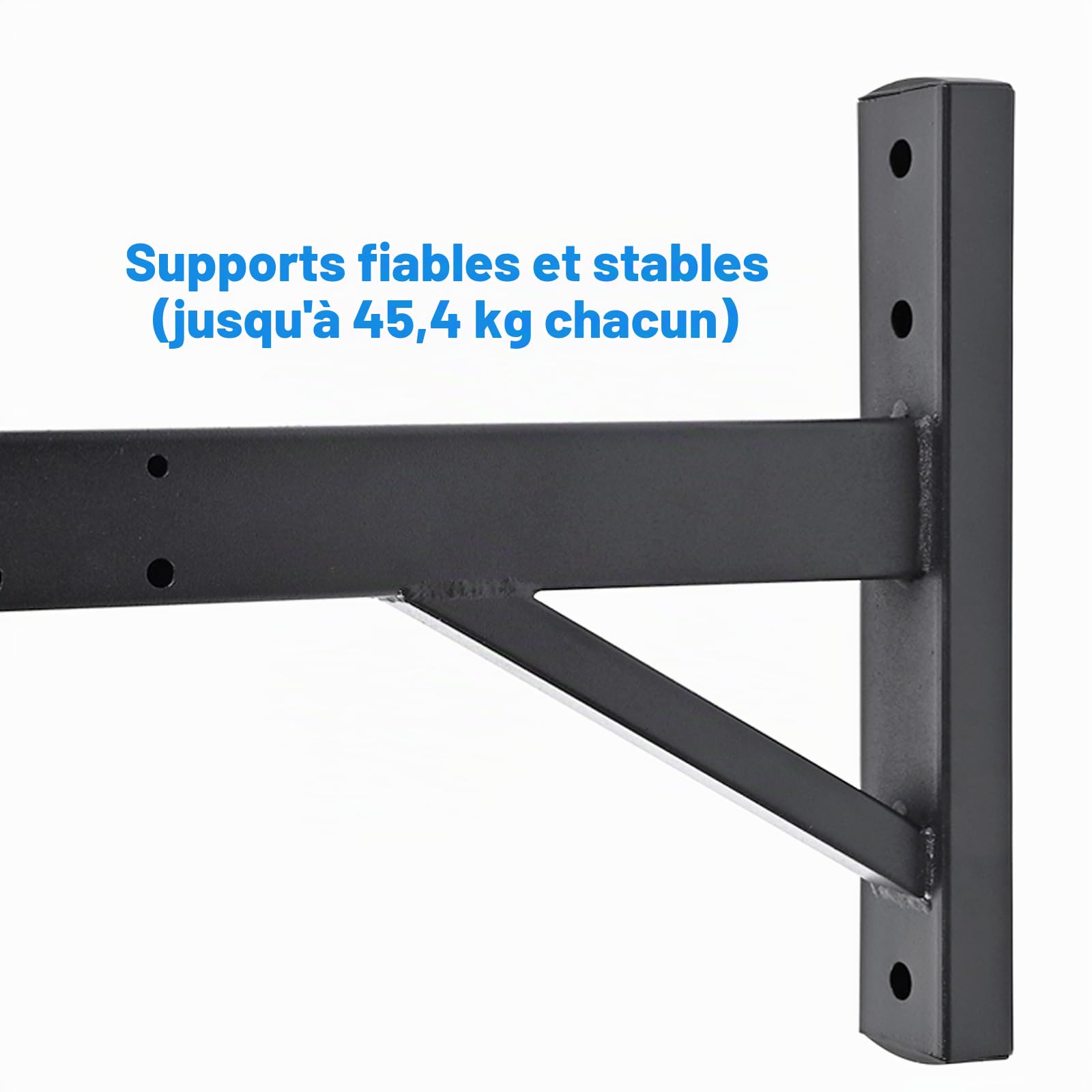 Support Mural pour Haut-Parleur, Support pour Enceinte, Support Mural pour Haut-Parleur inclinable, supporte jusqu'à 100lbs，HD-319(2 Packs Noir)