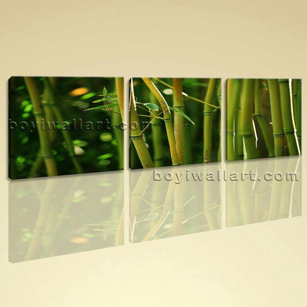 Large Bamboo Feng Shui On Canvas Print Wall Art Bedroom