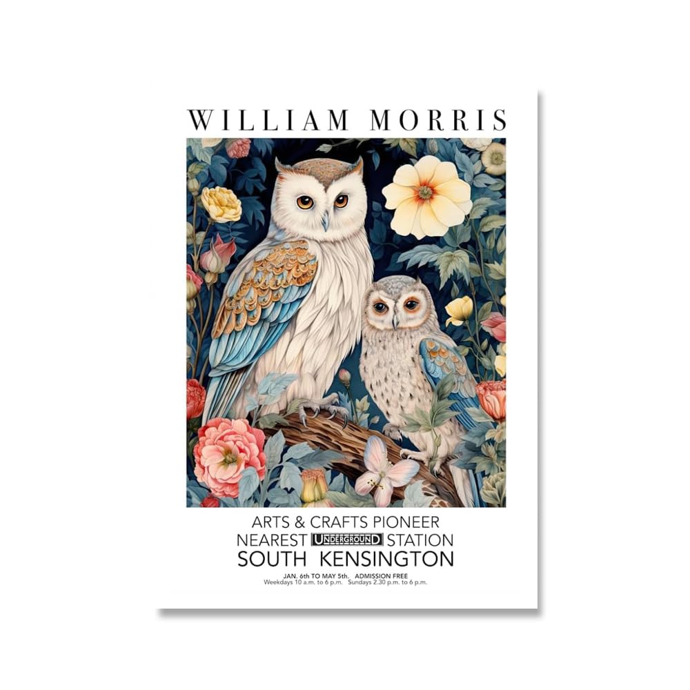 Matvsd Kohecs William Morris Owl Canvas Wall Art for Living Room, 16x24in, Unframed