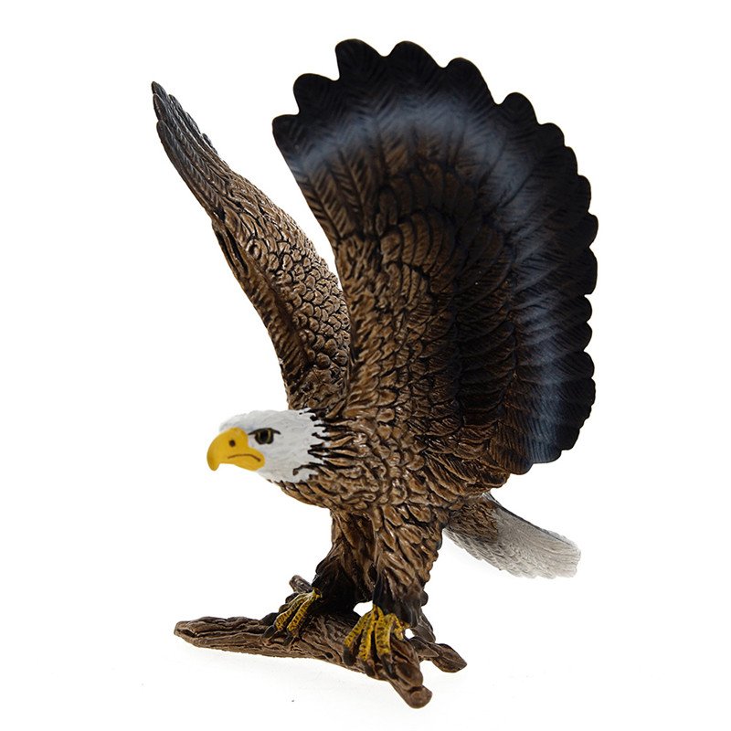 Amazon.co.jp: Schleich シュライヒ ワイルドライフ 白頭ワシ 14634