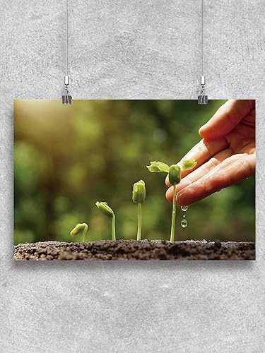 Miniatura 1 de Agriculture Growing Plants Poster