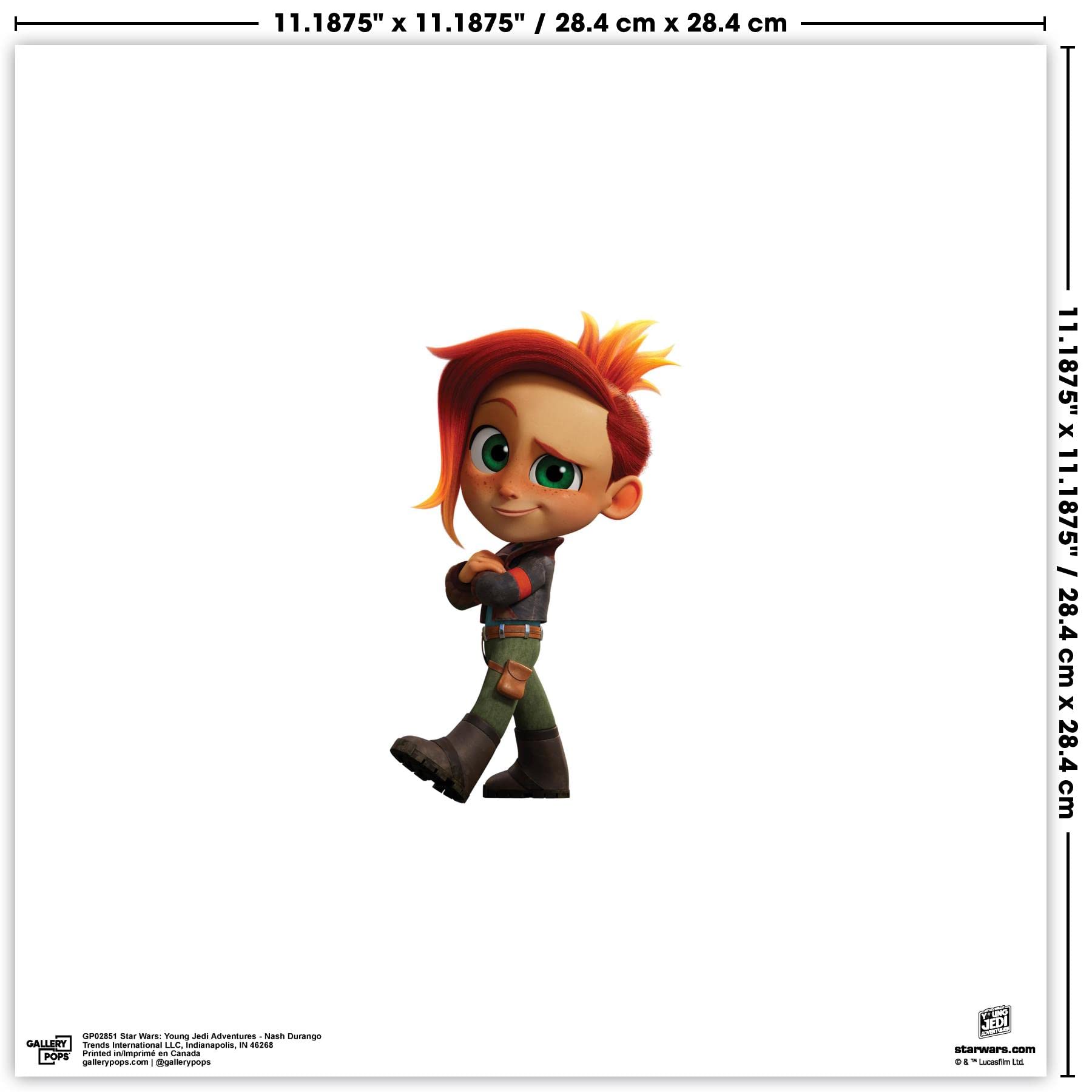 Amazon.com: Trends International Gallery Pops Star Wars: Young