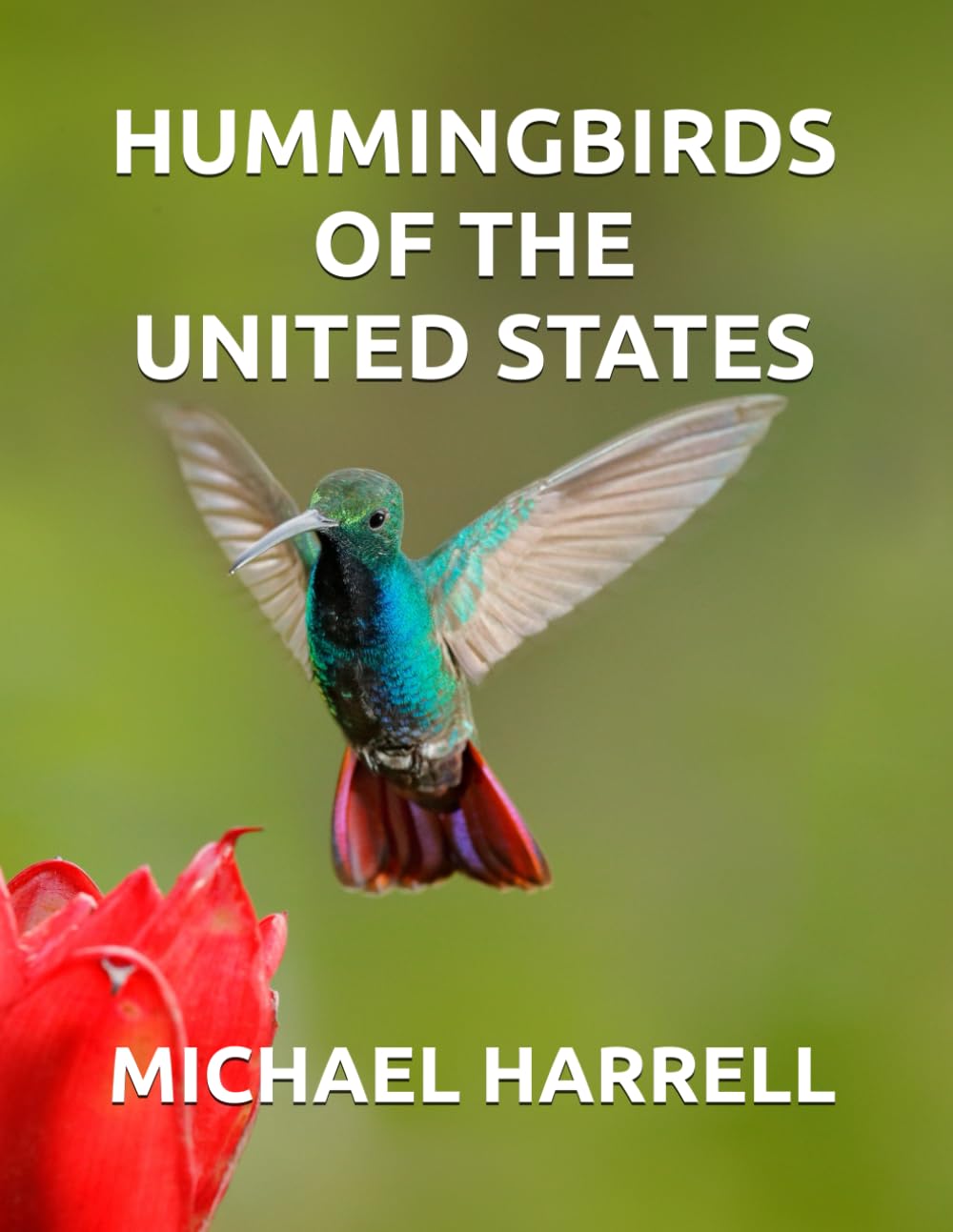HUMMINGBIRDS OF THE UNITED STATES (Wildlife of North America and other educational books.)