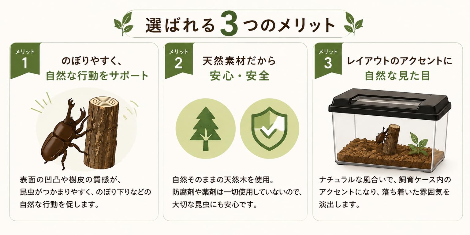 Amazon | 【2本セット】 コナラ産卵木 細目（8cm程度） クワガタ虫
