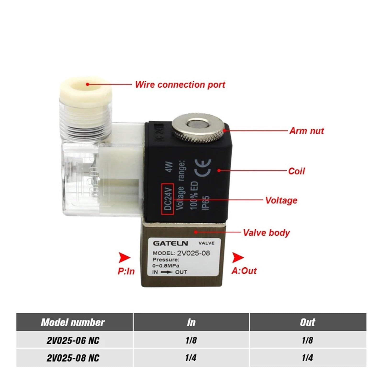 2V025-08 Normalnie zamknięty pneumatyczny zawór sterujący 24V 220V 1/4" BSP 2-drożny zawór elektromagnetyczny (z 4 mm fittings-02)
