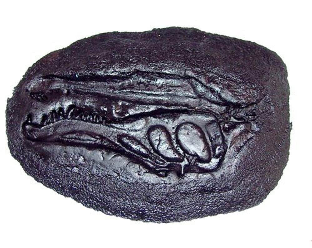 Matrice pour béton décoratif BonWay 32-267 motif Baryonyx