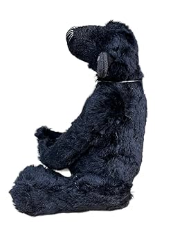 Amazon.co.jp: 中古品 Jill Baxter ジルバクスター テディベア