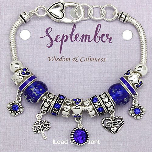 Falari Birthstone Bracelet Multi-Color Charm Beads Silvertone2