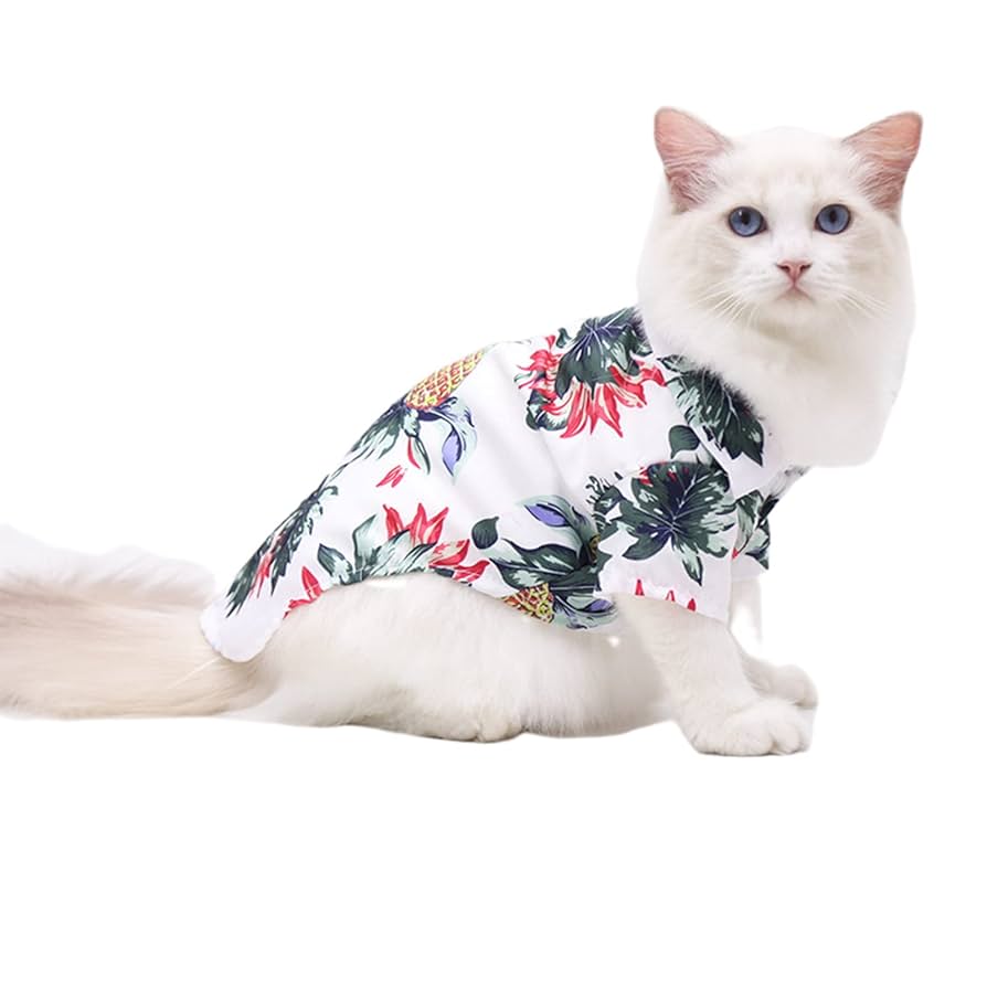 ワンコ服　夏物セール中‼︎ アロハシャツ風カットソー　Mサイズ 楽天市場】犬 アロハシャツ 夏 フレンチブルドッグ 服 ペット用