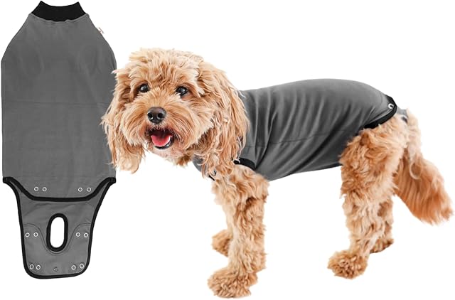 BellyGuard - After Surgery Dog Recovery Onesie, Post Spay, Neuter, Body Suit for Male and Female Dogs, Comfortable Cone alternative for Large and Small Dogs, Soft Cotton Covers Wound, Stitches, XS
