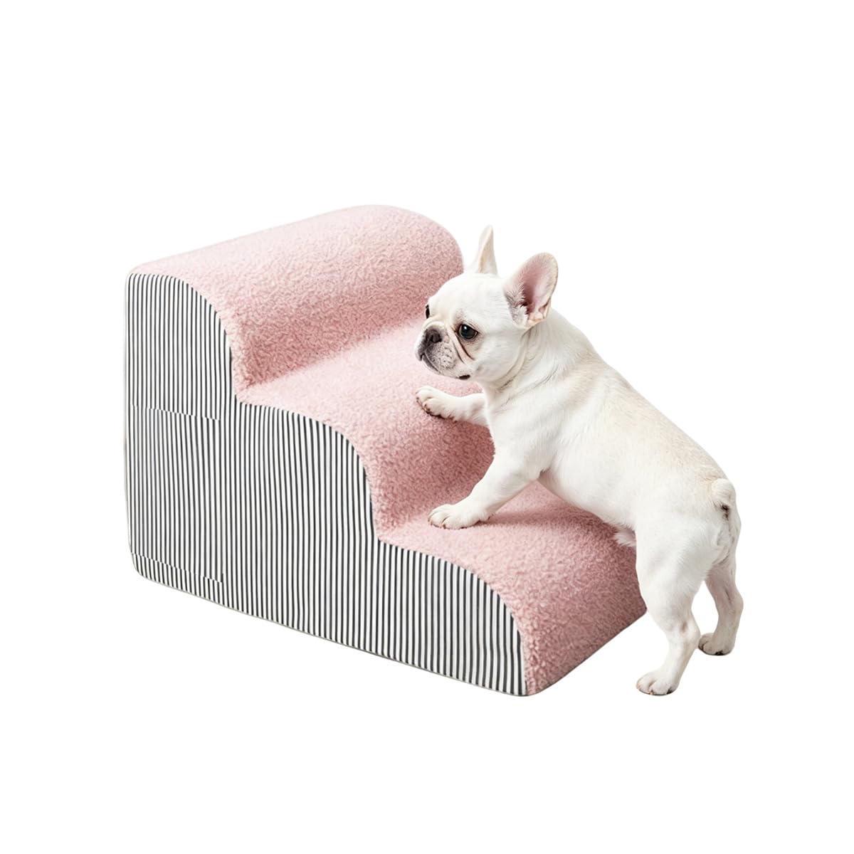Escalones para perros para cama alta y acceso seguro al sofá del salón de casa