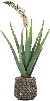 1.8ft Artificial Agave Plants, 22" Fake Aloe Vera Plant with 13 Leaves in Brown Pot, Large Faux Floor Plant for Home Office Hotel Bedroom Patio Balcony or Garden Indoor Decor