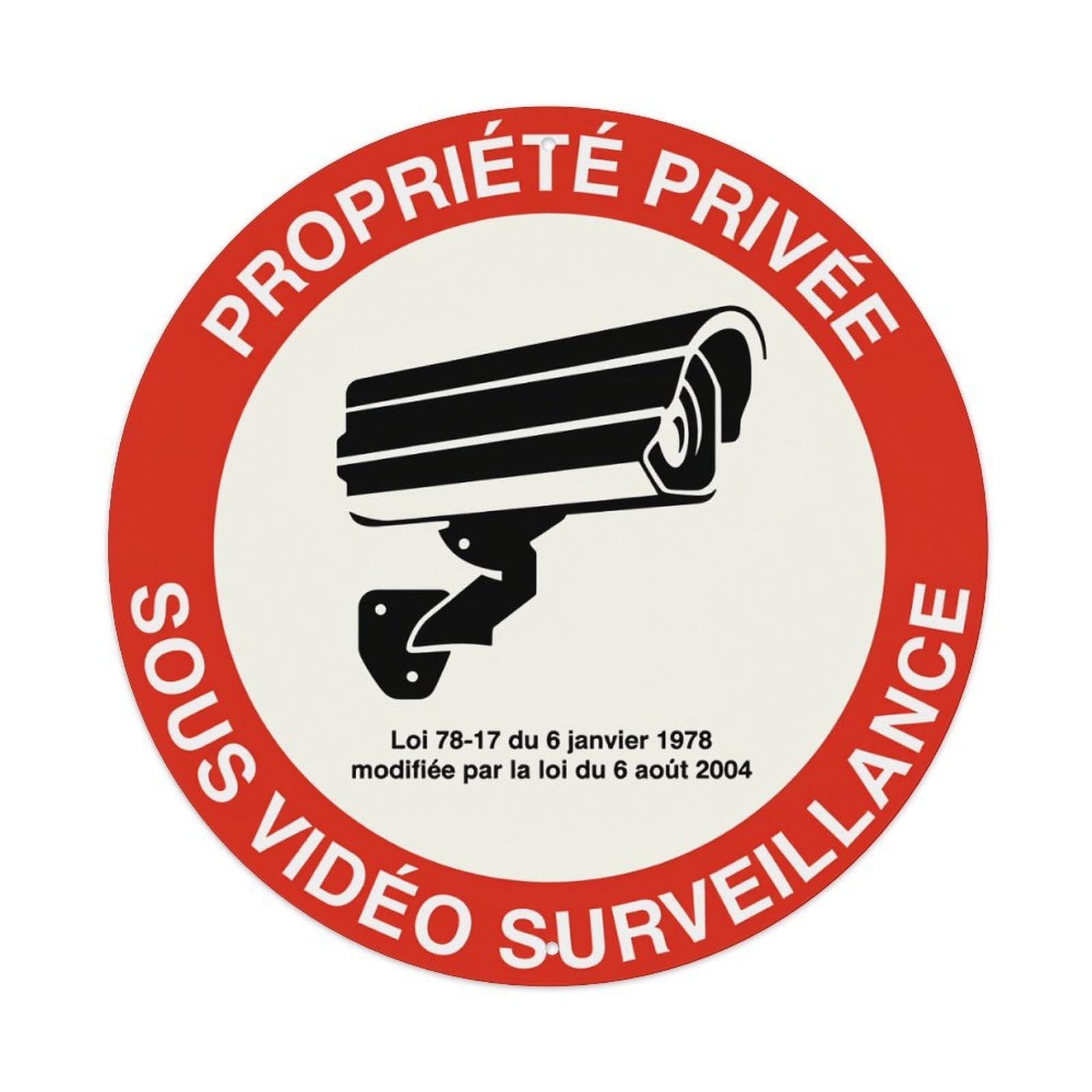 Wmlzdnwr Vintage Private Property Under Video Surveillance Round Tin Sign,Retro Wall Art,Metal Poster For Home, Bar, Garage, Cafe, Rustic Indoor & Outdoor Decor, 8X8 Inches