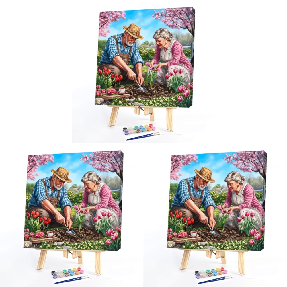 Kexpery Painting by Numbers Kit for Senior Adults 40x40cm Frameless Canvas Painting Easy to Make Home Decoration