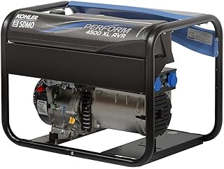 Photo du Groupe électrogène Portable Power 4500 XL AVR C5 PERFORM | SDMO