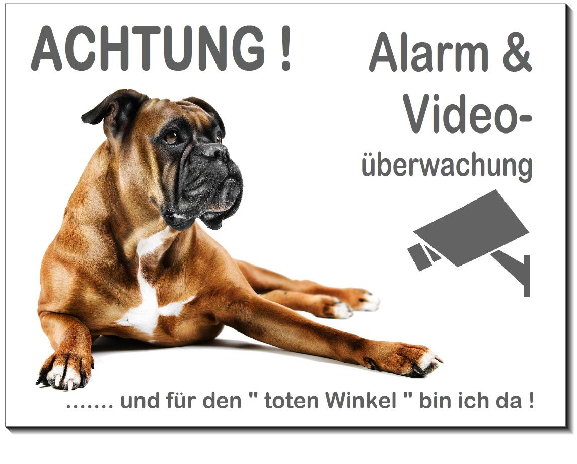 Boxer-Alarm Videoüberwachung Hundeschild – Aluminium, Edelstahloptik, 200x150 Mm, Made In Germany
