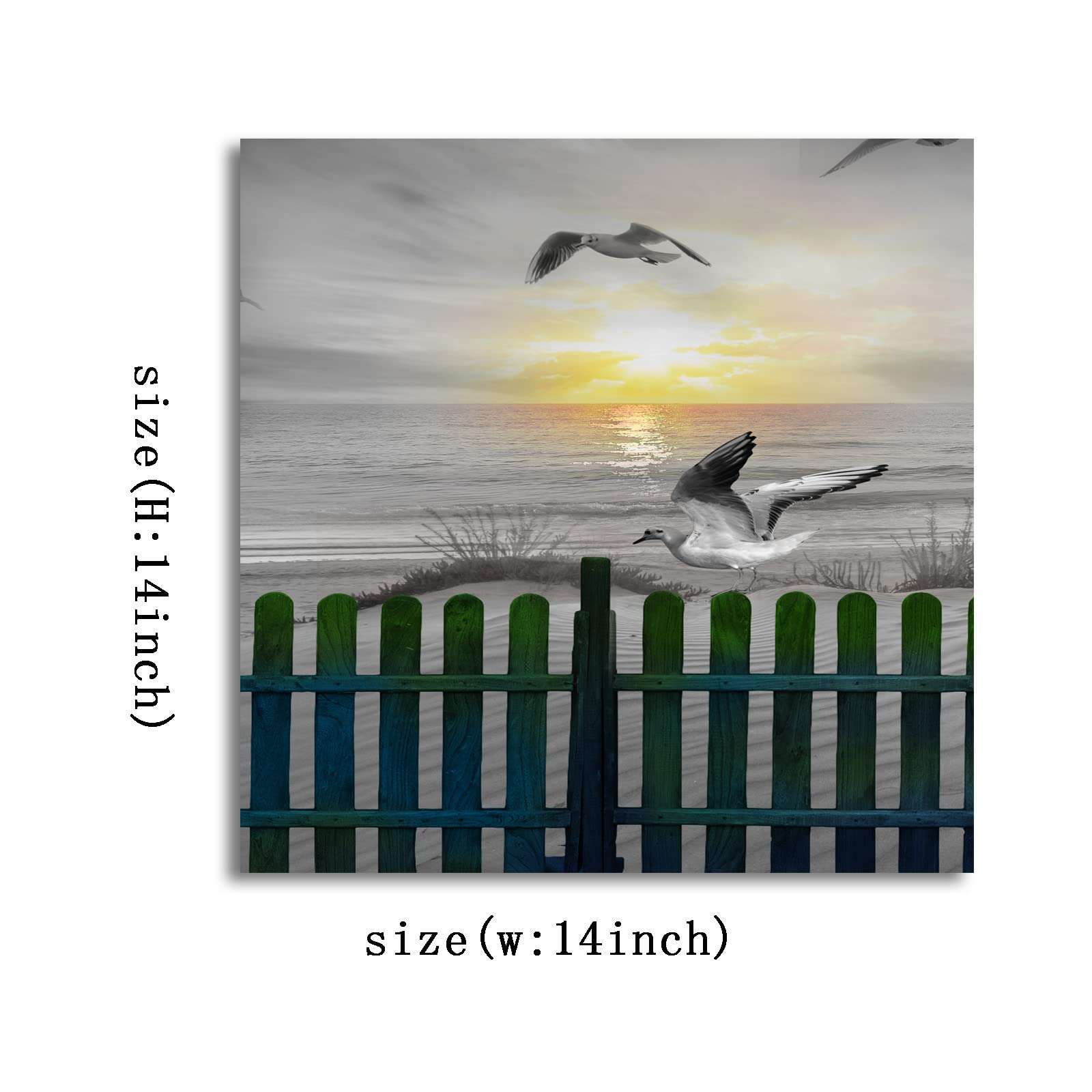 Amazon.co.jp: サンセットビーチ装飾ウォールアート - カモメの鳥