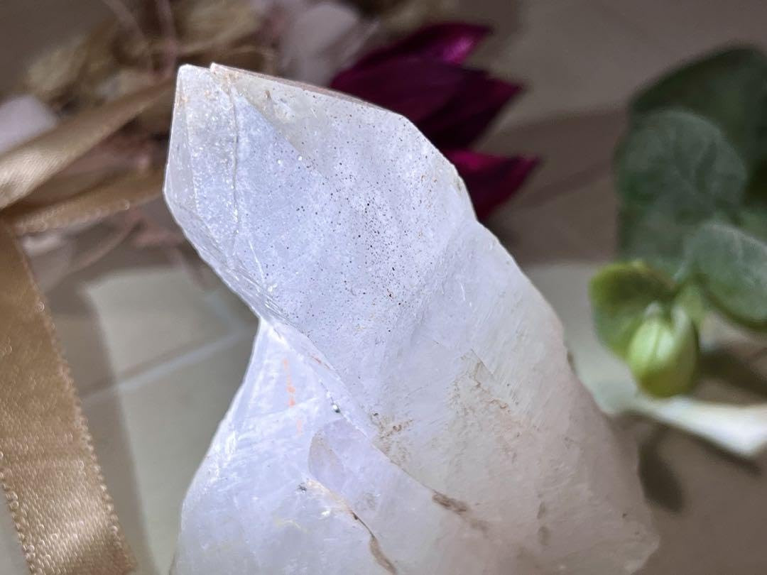 Amazon.co.jp: タントリックツイン ヒマラヤ マニカラン産