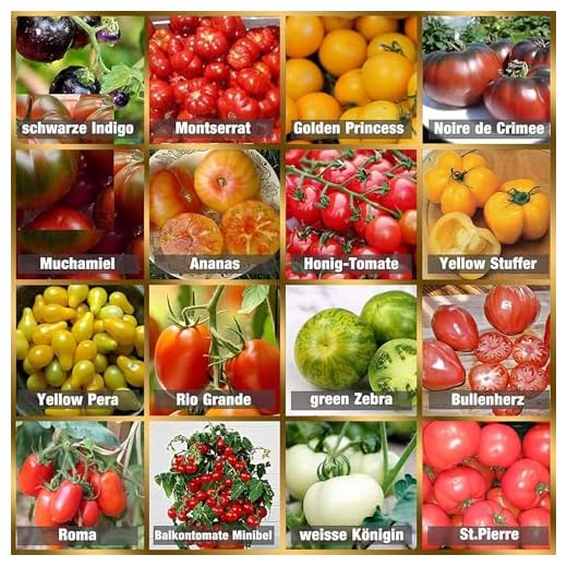 Tomatenzaadset 16 x 10 zaden tomatenmix 100% natuurlijke zaden handgeplukt uit Portugal, zeldzame en oude rassen, zaden met hoge kiemkracht, tomatenzaden voor tuin, balkon, terras, kas