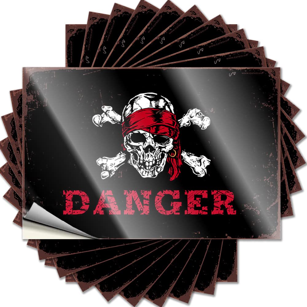 Tattoo Sweet Durable Vinyl - Pirate Danger Water for Outdoor Use(8X12CM)