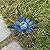 Yaoemei Tequila Rustic Sculpture, Metal Agave Statues Garden Hand Painted Decor for Yard Lawn Patio, Home Outdoor Courtyard Decoration with Solar Light Hollowed Leaves, Ornament Gifts (Blue, Size)