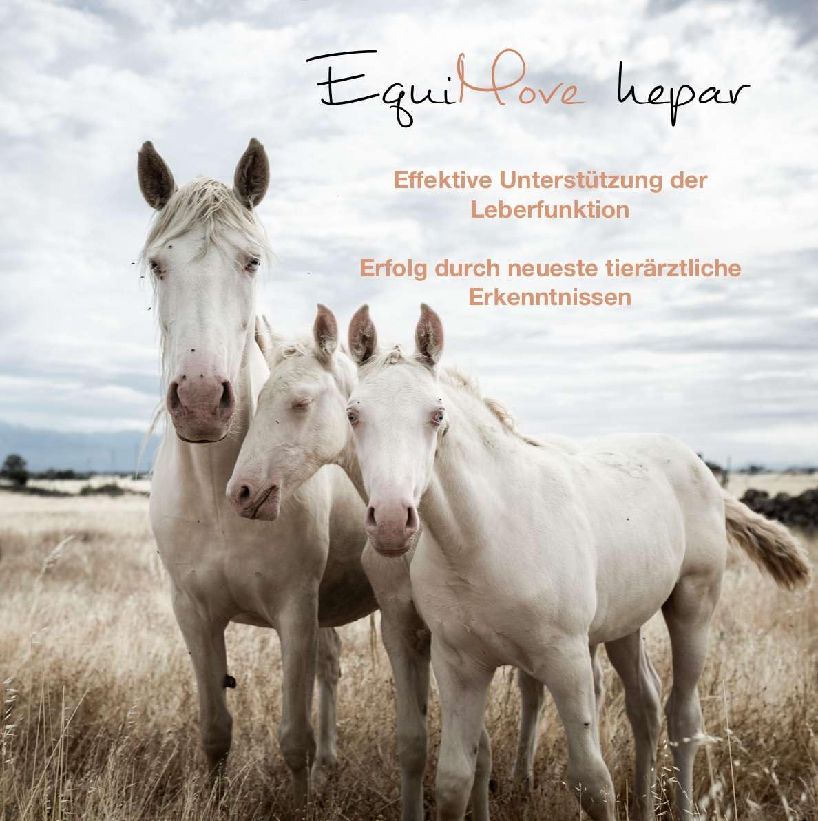 Dreierpack | Hepar (3 x 1,5 kg) - Zur Unterstützung der Leber und für die Entgiftung | Mit Mariendistel (Silymarin), Artischocke (Cynarin), LOLA (L-Ornithin-L-Aspartat), Löwenzahn und Cholin