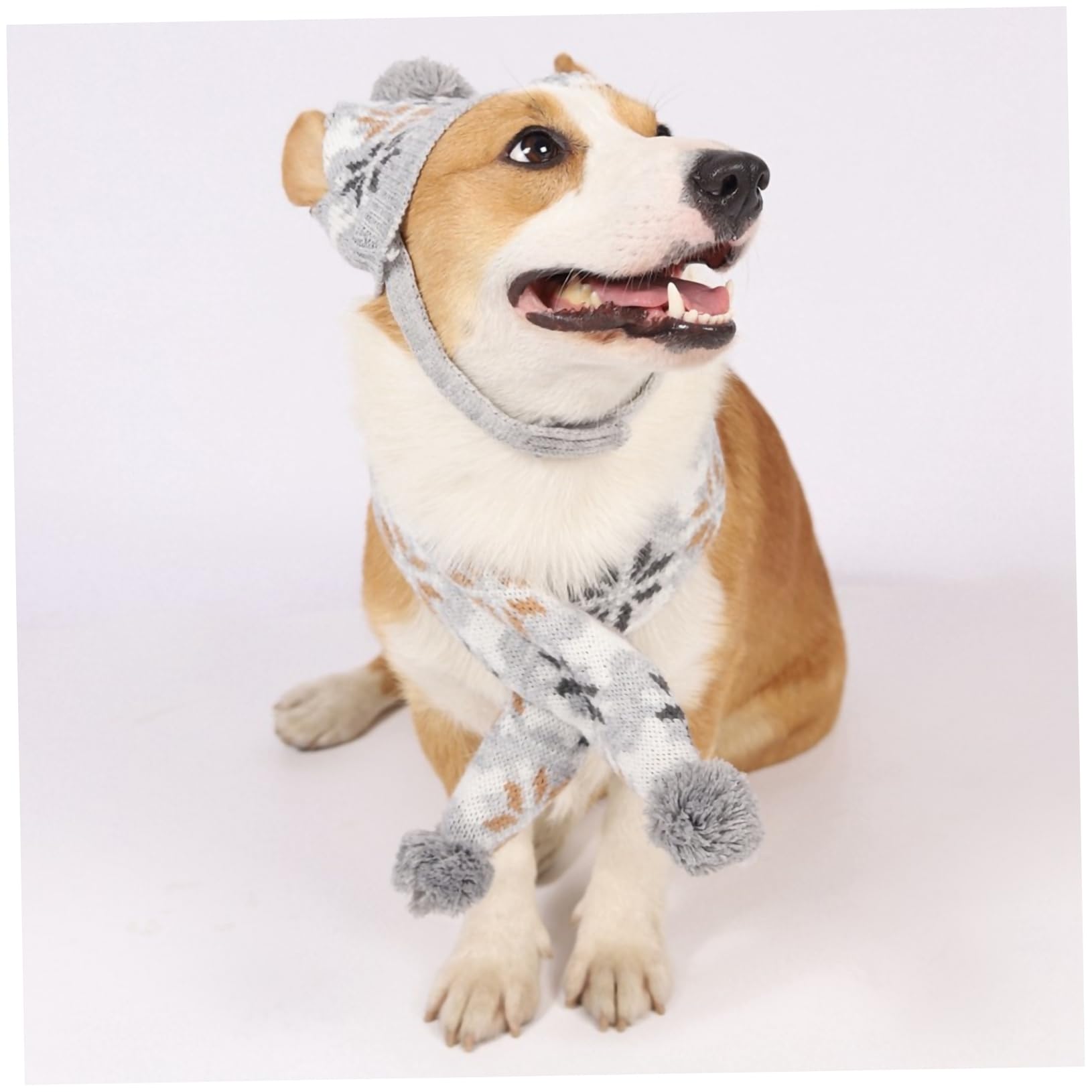 INOOMP 3sätze Adorables Xmas Pet Dog Kuscheliger Hundehut Und Schal Für Weihnachtsfeiern Für Fotoshootings Und Partys Leicht Und Strapazierfähig Teilig