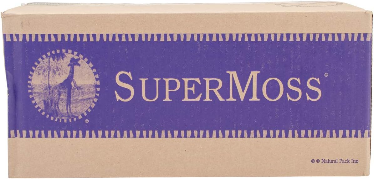 SuperMoss (21773) Reindeer Moss Preserved, Chartreuse, 3lbs