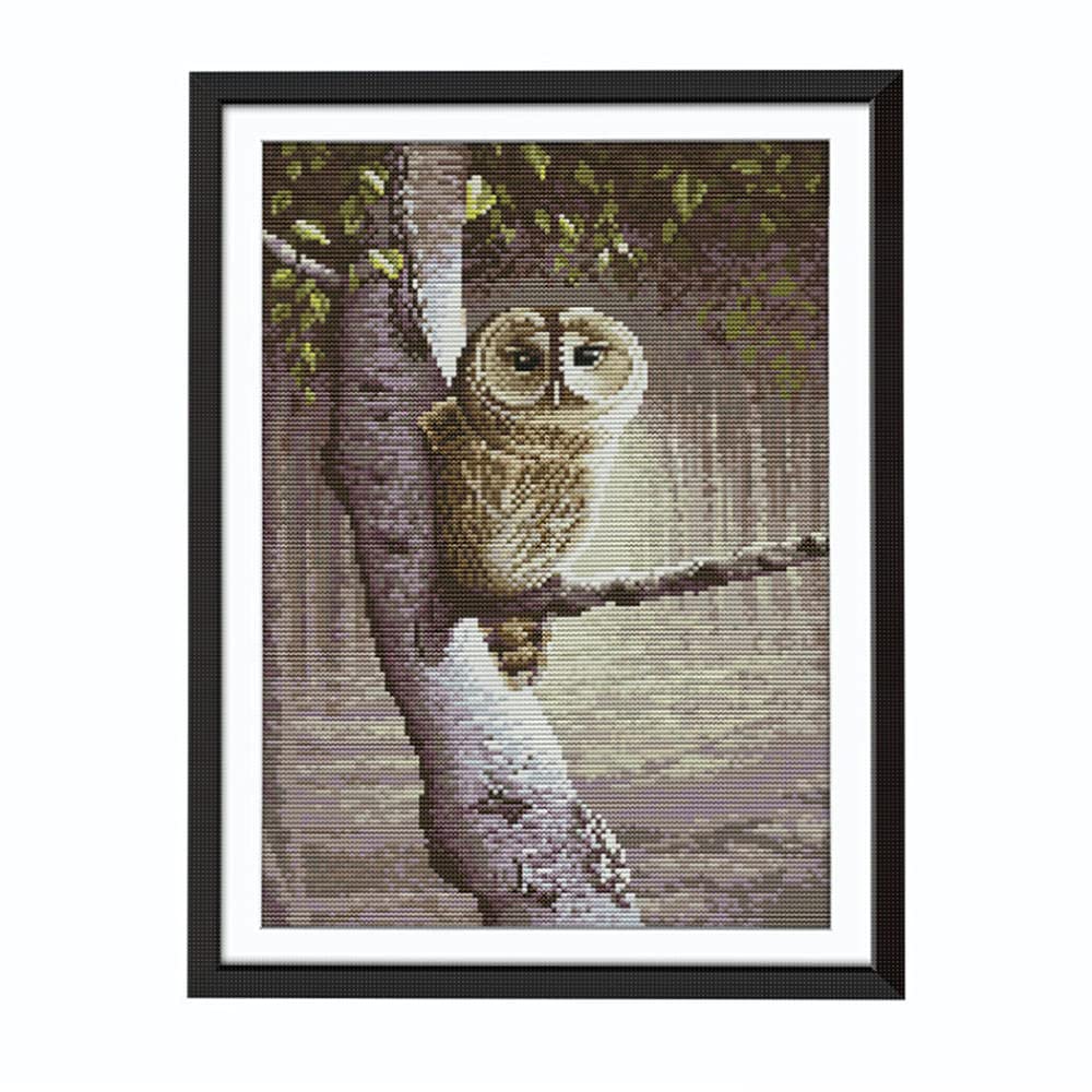 DIY Point De Croix Kit Pour Debutant Adulte,Canevas Point De Croix Kit