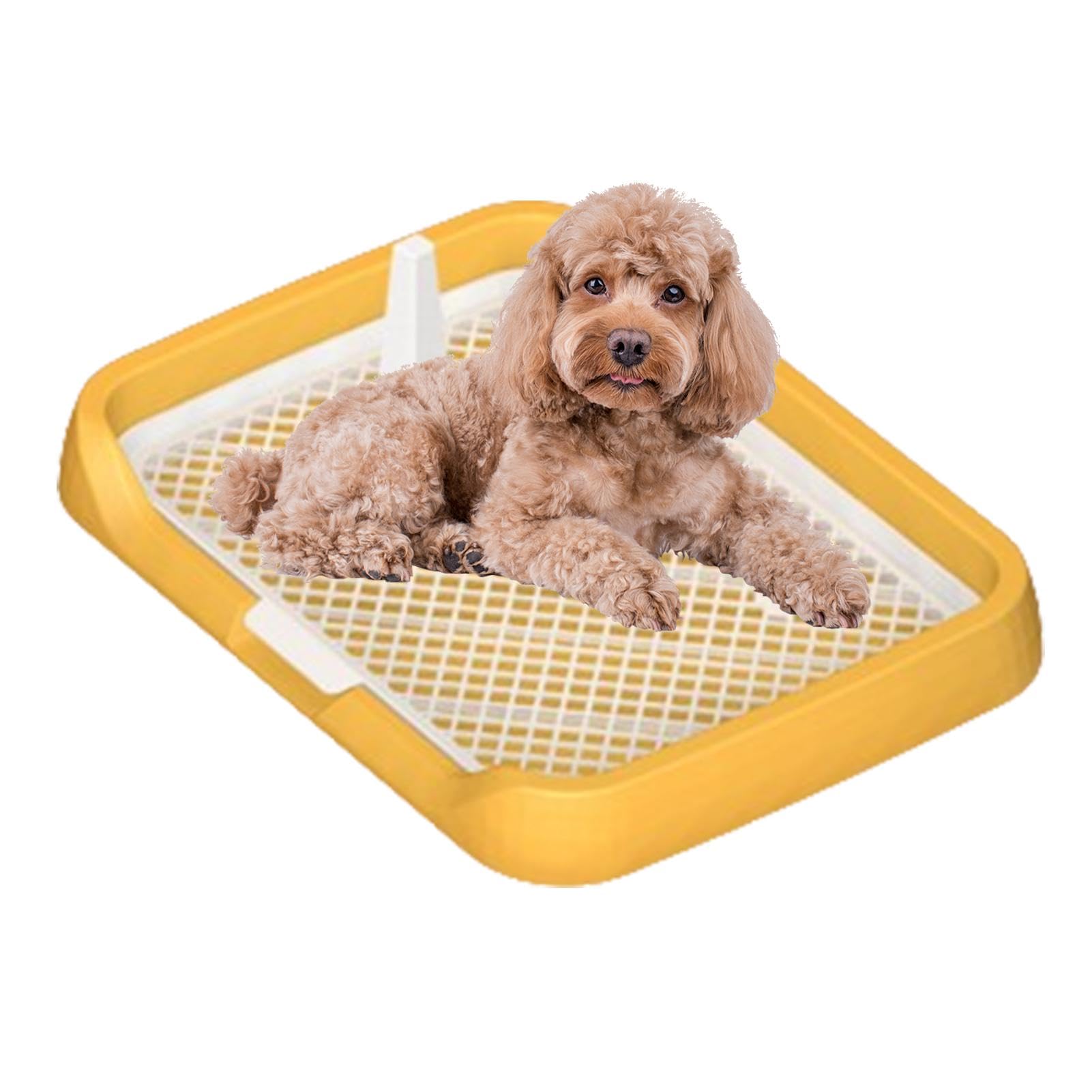 Amazon.co.jp: 犬 トイレトレー 犬 トイレ ワ 保護掃除が簡単 ペット