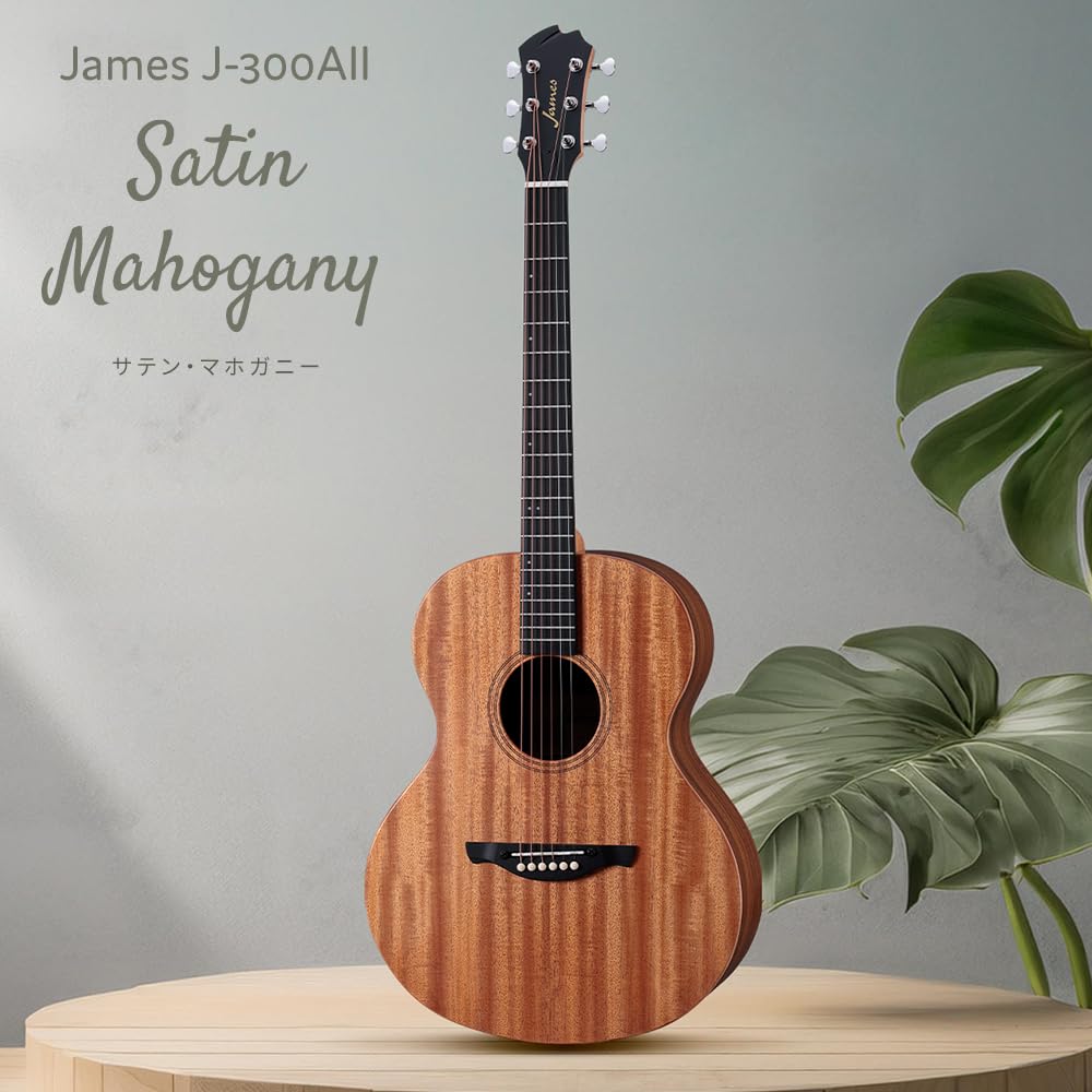 Amazon | James J-300AII 超初心者セット バイオリンサンバースト