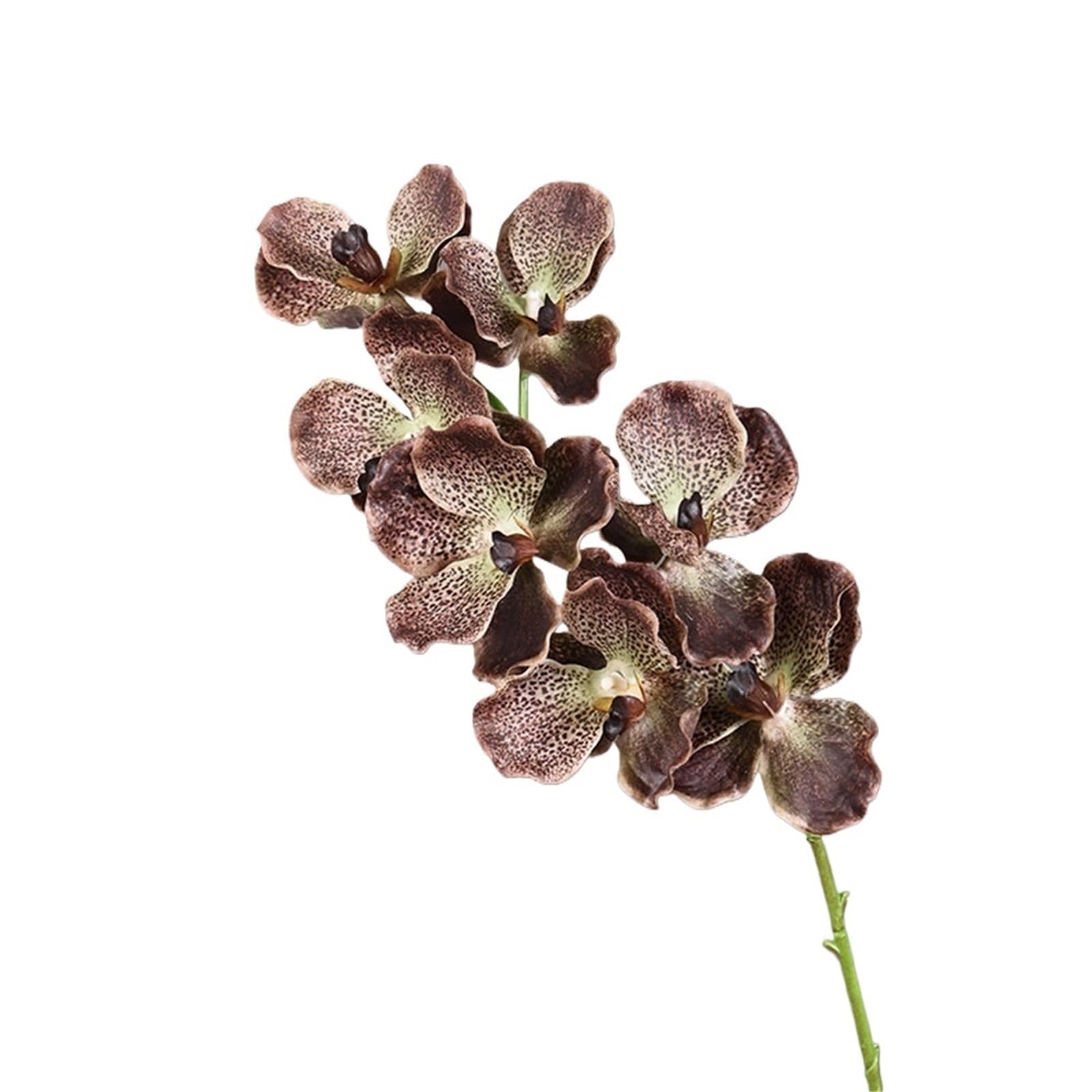LSYHHXC Artificial Orchid 80 CM Artificial Vanda Orchid Moisturizing Phalaenopsis Branch Large Flower Realistic Real Touch Orchids