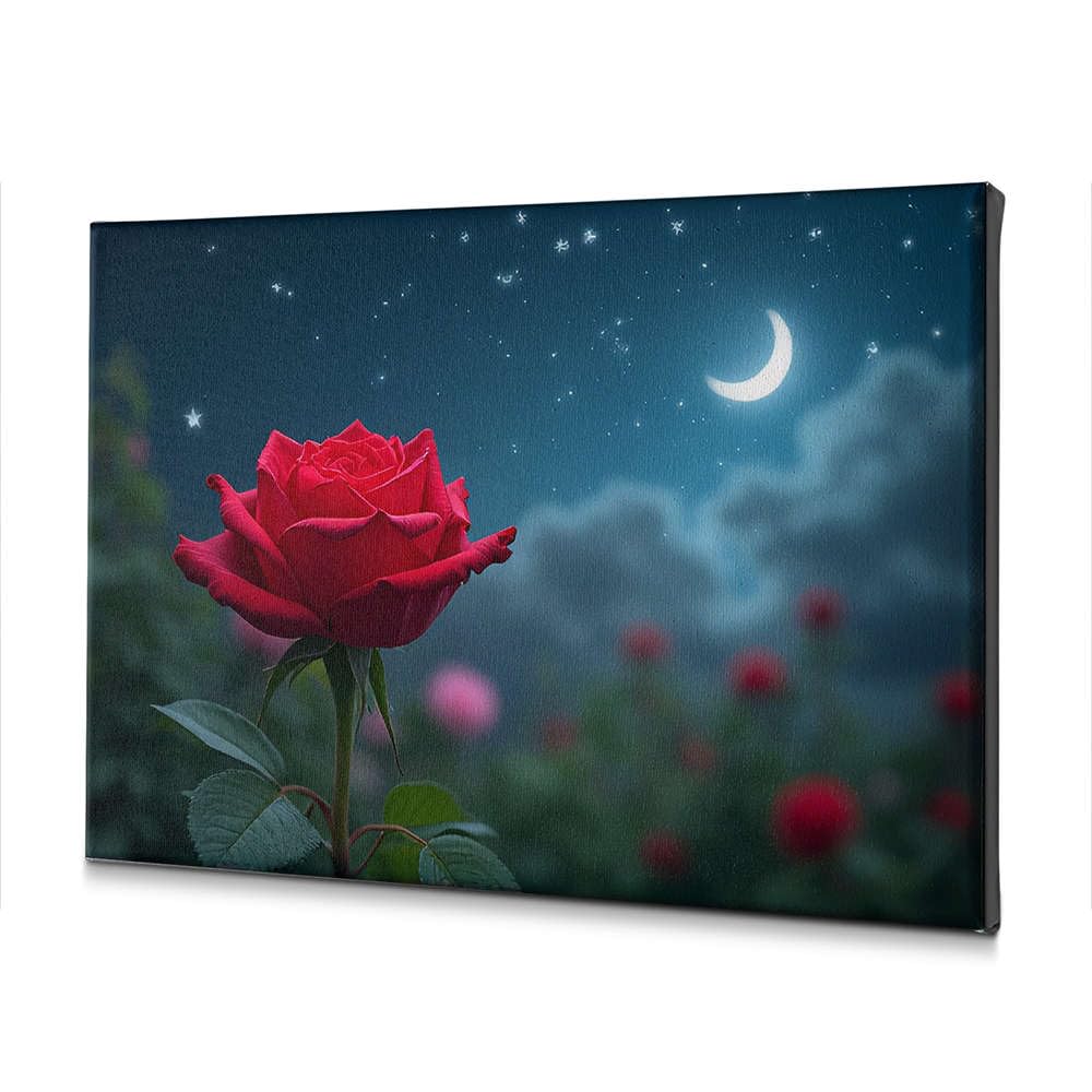 Toile décorative pour salon rose rouge ciel étoilé tableau WTD