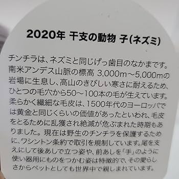 Amazon.co.jp: 上野動物園 干支ぬいぐるみ 2020年限定 ネズミ