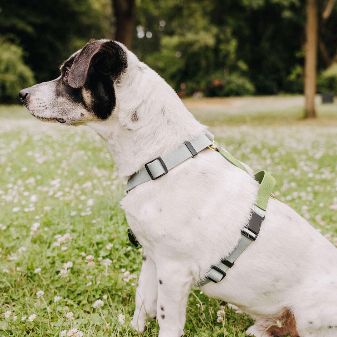arnés para Perros, Hecho a Mano, 5 Puntos Ajustable, Impermeable, Made in Germany, para Perros pequeños a Muy Grandes, arnés de Paseo, Pecho y Entrenamiento (L/XL, Gris/Verde)