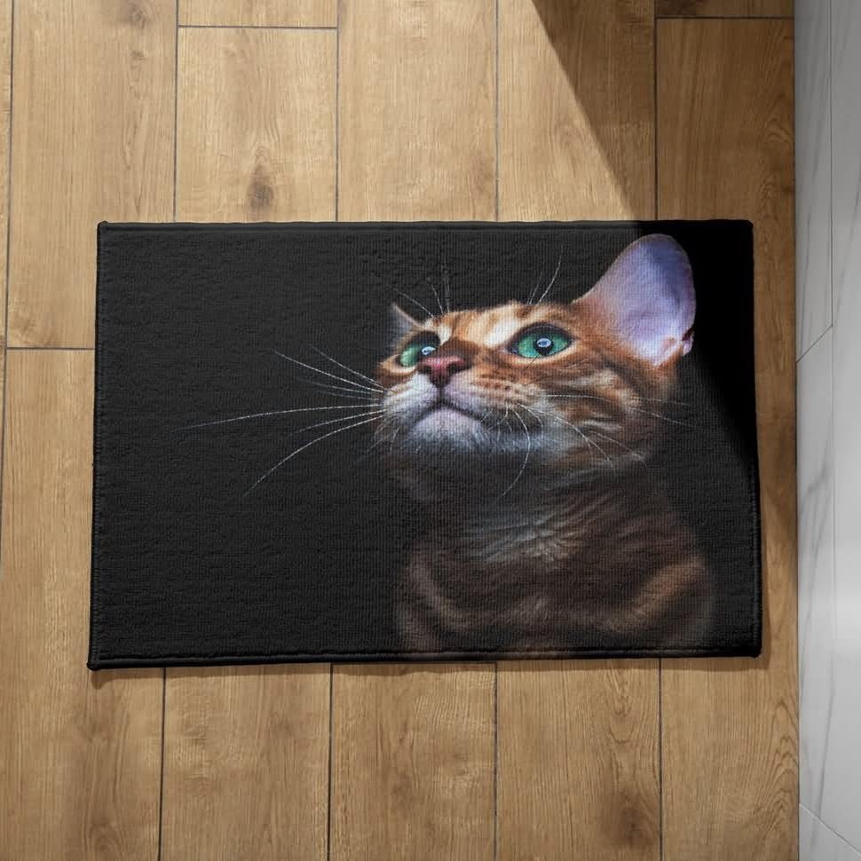 CEVAN Alfombra Interior Casa Felpudos Entrada Casa Originales Lindo Gato Alfombra Lavable Felpudo Entrada Casa Exterior Originales 50x80cm
