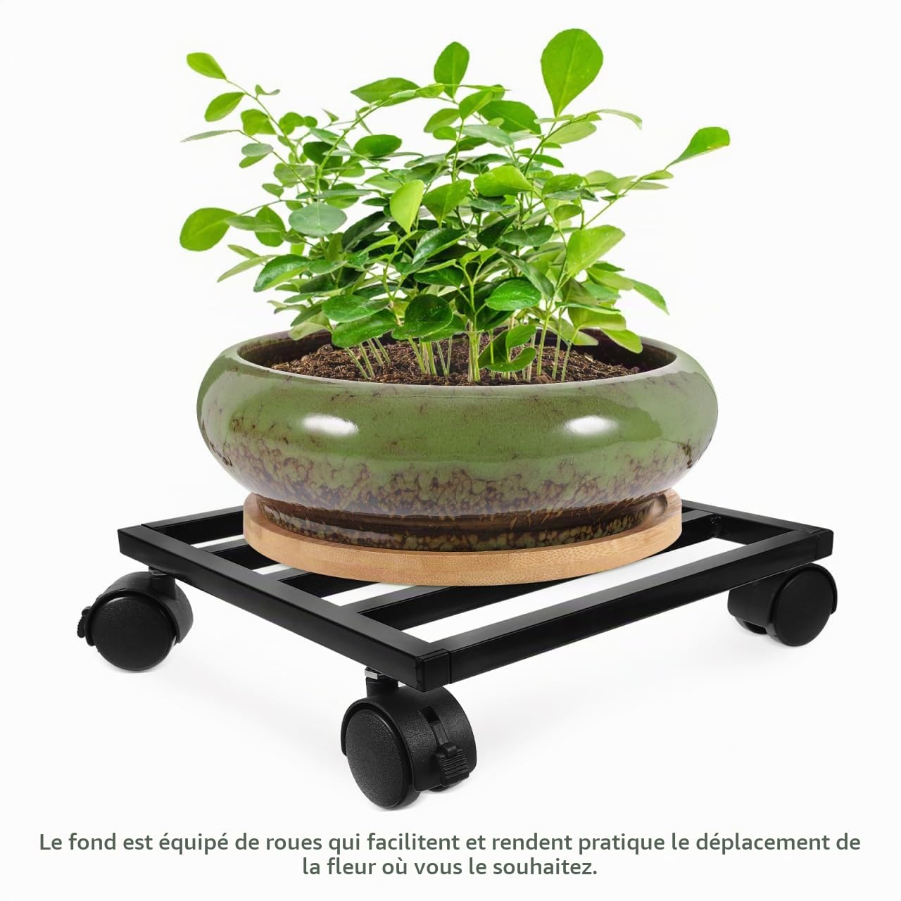 Kisangel Support De Plante avec Roulette 9.84In Base Roulante pour Pot De Fleur Robuste Mobilité Facile Intérieur Extérieur Jardin