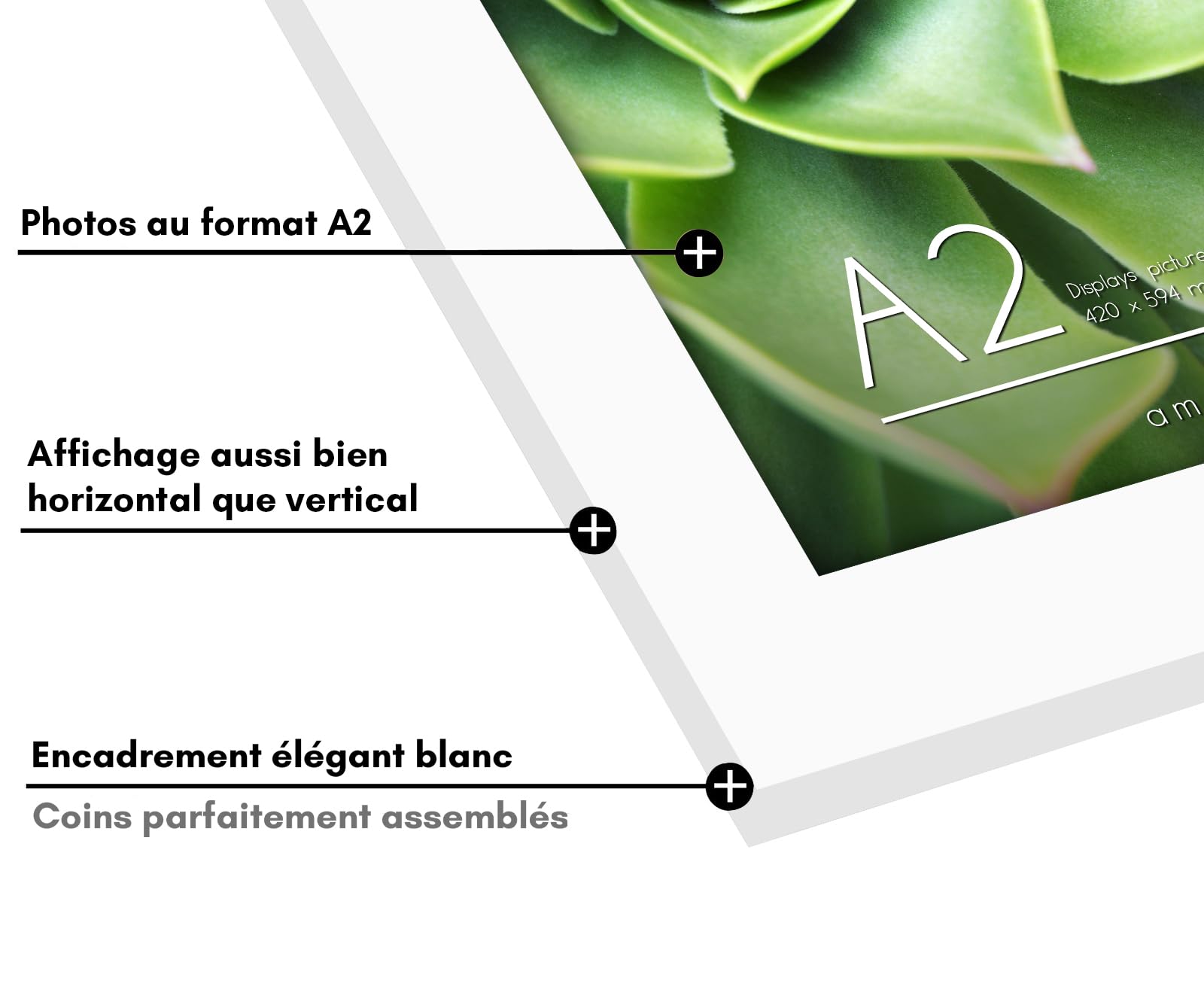 Americanflat Cadre Photo A2 Blanc - Cadre A2 en MDF avec Plexi Poli et Matériel de Suspension Intégré - Format Horizontal et Vertical pour Mur