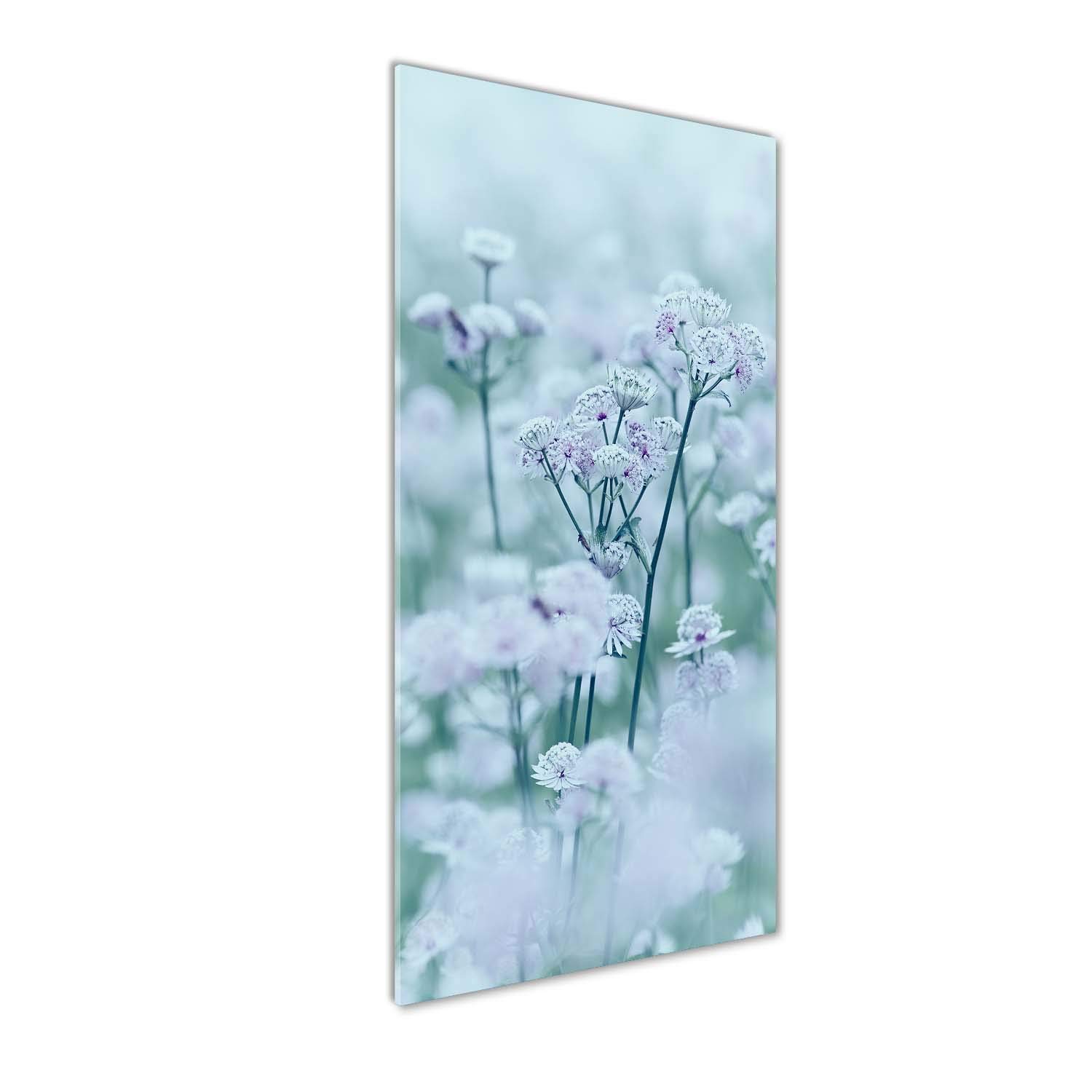 Mural Art Verre Acrylique Tulup Tableau Robuste Incassable 50x125 motif Astrantia