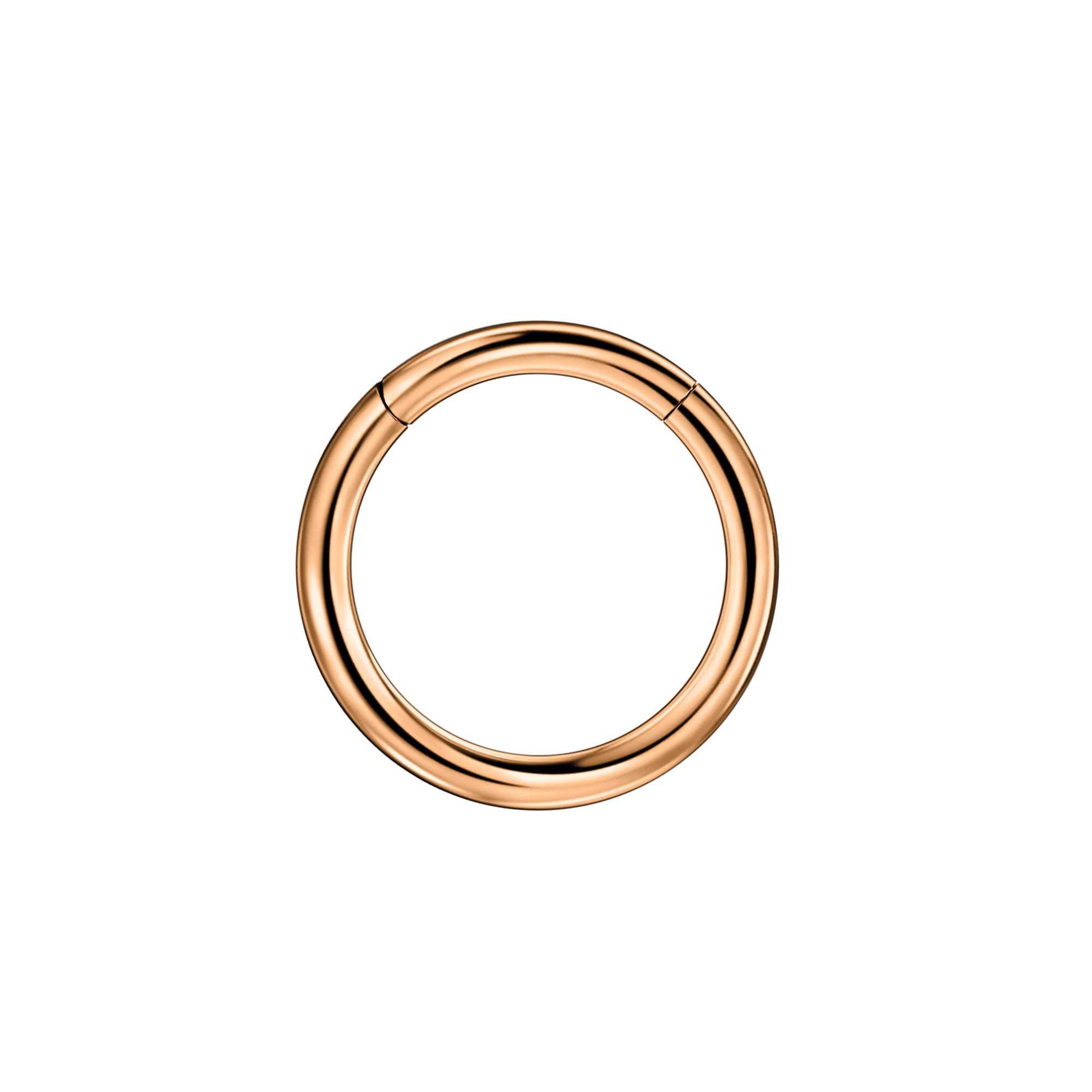 316L Surgical Steel Hypoallergenic Hinged Nose Ring Hoop for Women &amp; Men