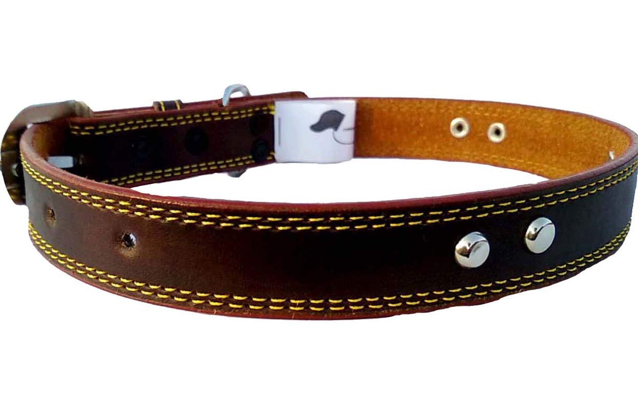 Buy Petlia Dog Neck Belt for Large Dogs Pure Leather Online at Low